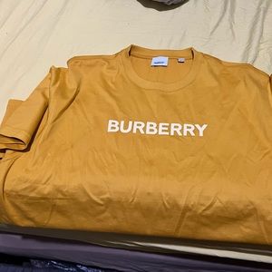 Mend burberry shirt